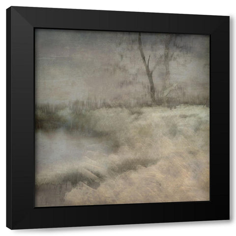 Little Ven Black Modern Wood Framed Art Print by Talen, Nel