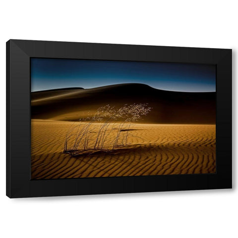 Seedasand Black Modern Wood Framed Art Print by Inderst, Rainer