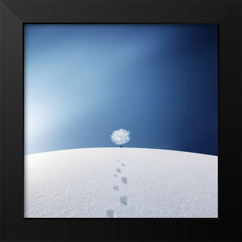 A Tree In The Field Black Modern Wood Framed Art Print by Hamiti, Bess