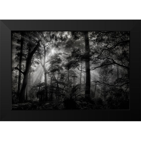Primary Forest Black Modern Wood Framed Art Print by Guillemot, Mathilde