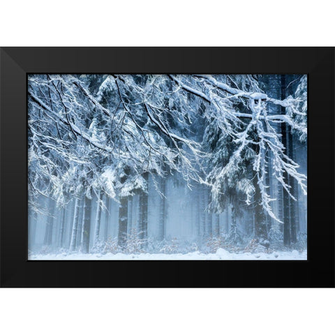 Snowworld Black Modern Wood Framed Art Print by Van Dongen, Anton
