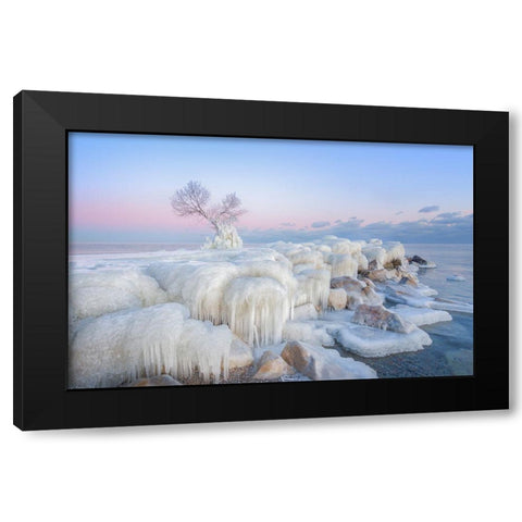 Ice Wonderland Black Modern Wood Framed Art Print with Double Matting by Deng, Larry