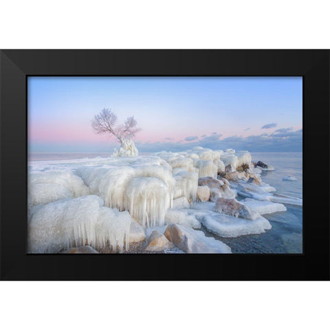 Ice Wonderland Black Modern Wood Framed Art Print by Deng, Larry