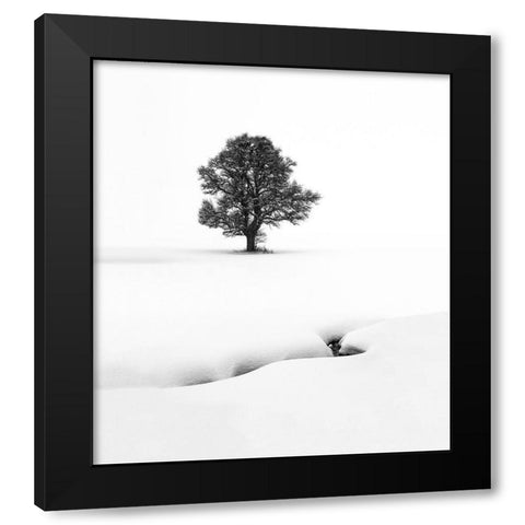 Le Solitaire Black Modern Wood Framed Art Print by Pelissier, Marc