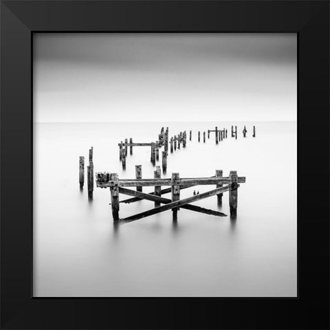 Standing Firmish Black Modern Wood Framed Art Print by Bolton, Robert