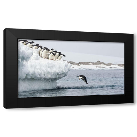 Splash Black Modern Wood Framed Art Print with Double Matting by Gil Raga, Joan