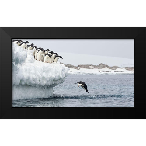 Splash Black Modern Wood Framed Art Print by Gil Raga, Joan