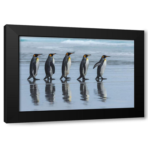 Five Online Black Modern Wood Framed Art Print by Angel Artus, Miquel