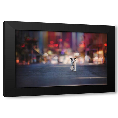 Leaving Las Vegas... Black Modern Wood Framed Art Print with Double Matting by Willers, Heike