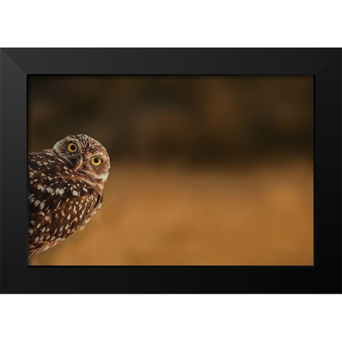 Hi There! Black Modern Wood Framed Art Print by Hennen, Marcus