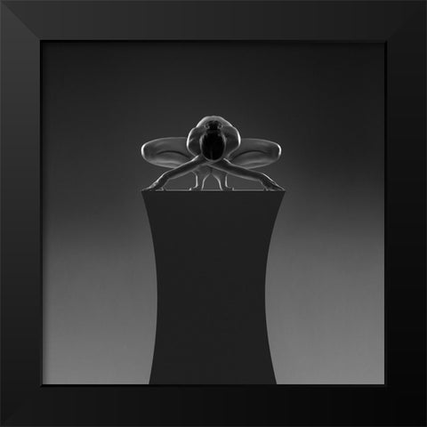 Box 3 Black Modern Wood Framed Art Print by Birkhofer, Bruno