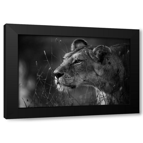 Untitled Black Modern Wood Framed Art Print by Forte, Simona