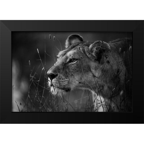 Untitled Black Modern Wood Framed Art Print by Forte, Simona