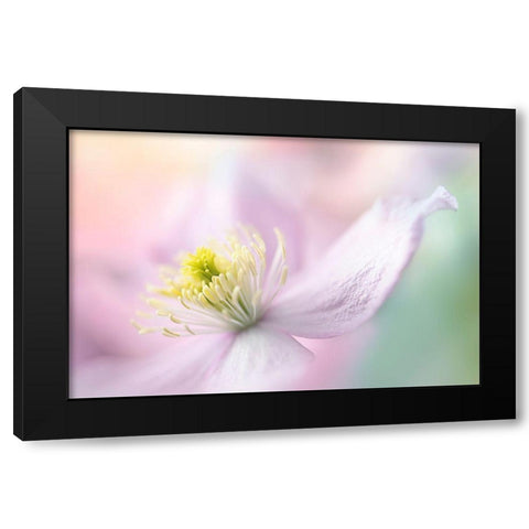 Mayleen Black Modern Wood Framed Art Print with Double Matting by Parker, Jacky