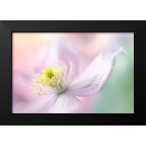 Mayleen Black Modern Wood Framed Art Print by Parker, Jacky