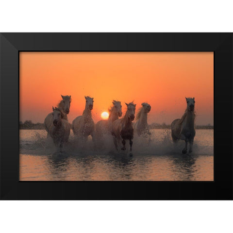 Sunset In Camargue Black Modern Wood Framed Art Print by Anton, Rostovskiy