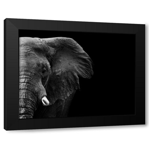 Elephant Black Modern Wood Framed Art Print with Double Matting by WildPhotoArt