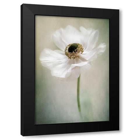 Single White Black Modern Wood Framed Art Print with Double Matting by Parker, Jacky
