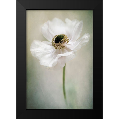 Single White Black Modern Wood Framed Art Print by Parker, Jacky