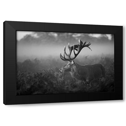 Sunny Morning Black Modern Wood Framed Art Print with Double Matting by Fabrowski, Robert