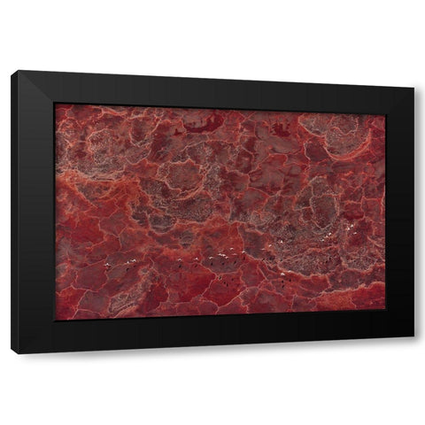 Africa Pallete Black Modern Wood Framed Art Print with Double Matting by Fan, John