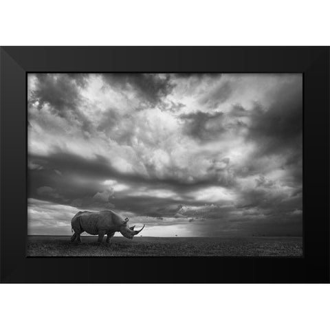 Rhino Land Black Modern Wood Framed Art Print by Moreno, Mario