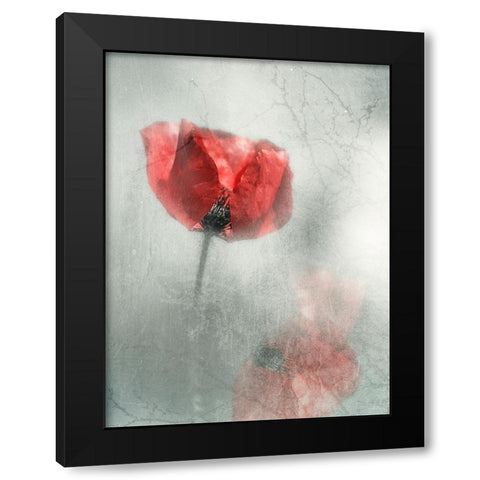 Untitled Black Modern Wood Framed Art Print with Double Matting by Ignatova, Desislava