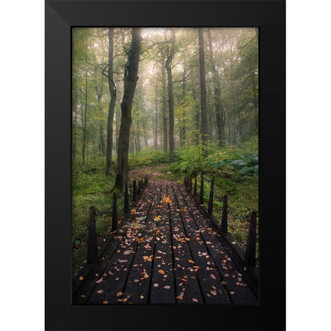 Misty Morning Black Modern Wood Framed Art Print by Lindsten, Christian