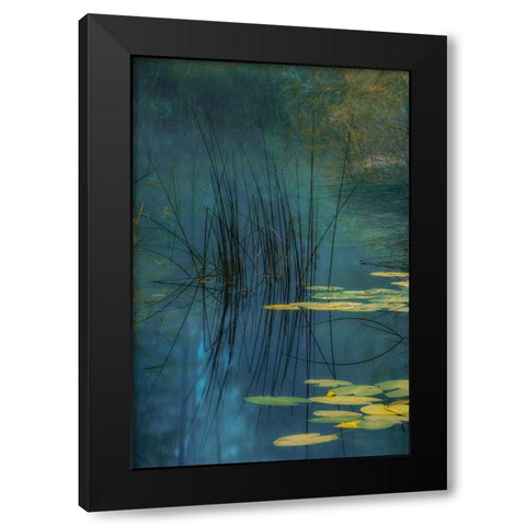 Aqua Black Modern Wood Framed Art Print by Agazzi, Andreas