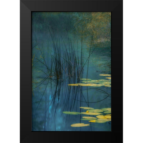 Aqua Black Modern Wood Framed Art Print by Agazzi, Andreas