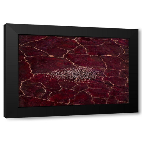 Red Planet Black Modern Wood Framed Art Print with Double Matting by Fan, John