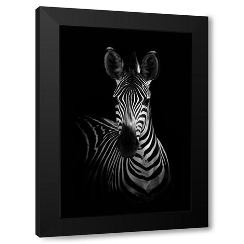The Zebra Black Modern Wood Framed Art Print by WildPhotoArt