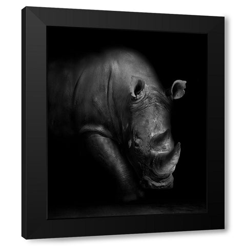 Rhino Black Modern Wood Framed Art Print with Double Matting by Wildphotoart