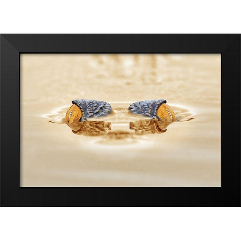 Crocodile - The Gold Eye Black Modern Wood Framed Art Print by Priyadi, Andri