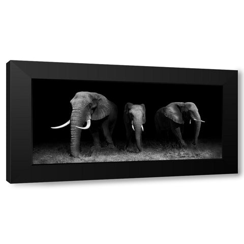 Out Of The Darkness Black Modern Wood Framed Art Print with Double Matting by Wildphotoart
