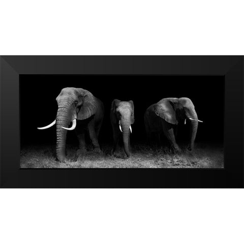 Out Of The Darkness Black Modern Wood Framed Art Print by Wildphotoart