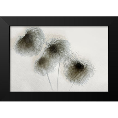 Clematis Black Modern Wood Framed Art Print by Talen, Nel