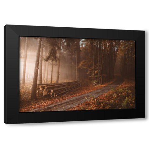 Orange Beauty In Common Things Black Modern Wood Framed Art Print by Hudolin, Tomas