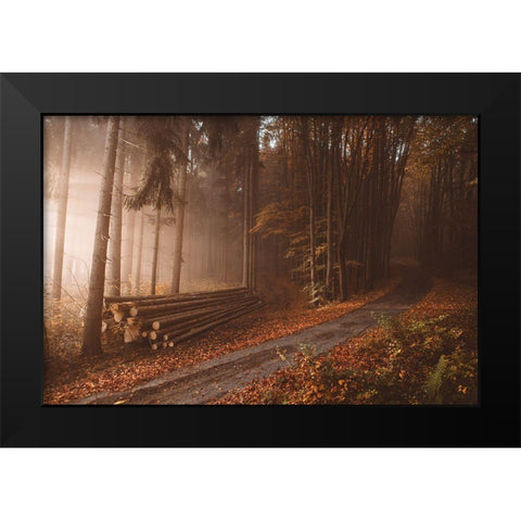 Orange Beauty In Common Things Black Modern Wood Framed Art Print by Hudolin, Tomas