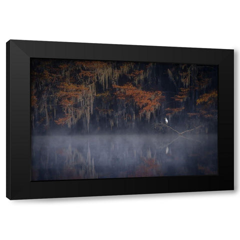 Misty Morning Black Modern Wood Framed Art Print by Zheng, Michael