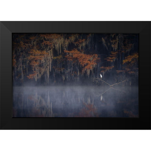 Misty Morning Black Modern Wood Framed Art Print by Zheng, Michael