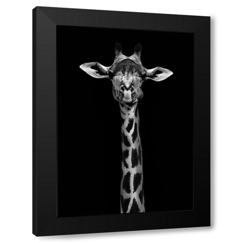 Giraffe Portrait Black Modern Wood Framed Art Print with Double Matting by WildPhotoArt