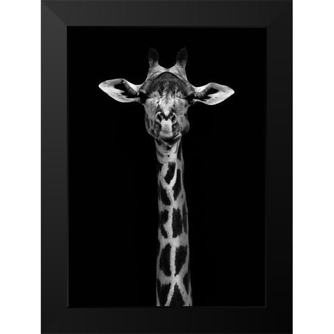 Giraffe Portrait Black Modern Wood Framed Art Print by WildPhotoArt