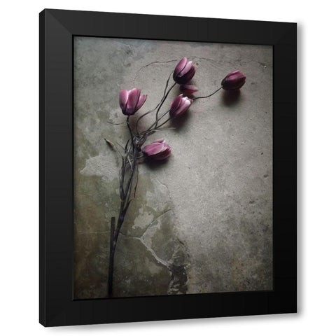The Elegant Tulip Black Modern Wood Framed Art Print with Double Matting by Lagaa, Kahar