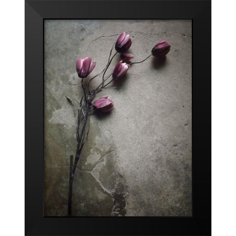 The Elegant Tulip Black Modern Wood Framed Art Print by Lagaa, Kahar