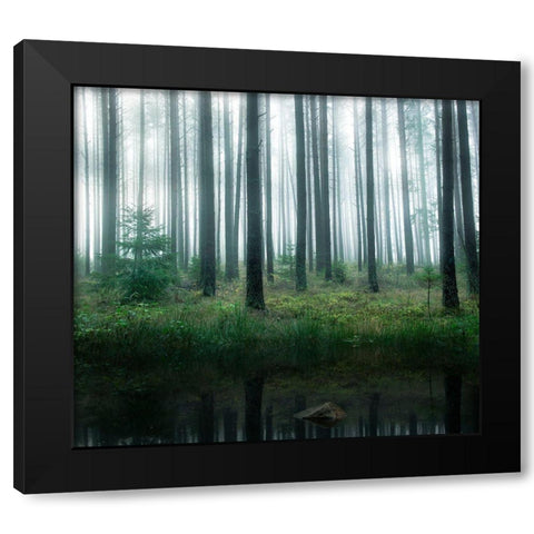 Lake In Forest Black Modern Wood Framed Art Print with Double Matting by Lindsten, Christian
