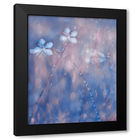 The Flower Duet Black Modern Wood Framed Art Print with Double Matting by Devos, Delphine