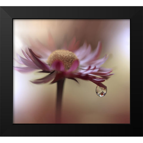 Tears Of Time.. Black Modern Wood Framed Art Print by Nan, Juliana