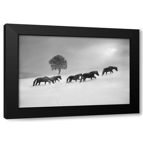 Untitled Black Modern Wood Framed Art Print with Double Matting by Tanev, Todor