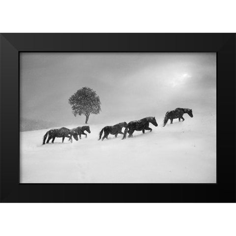 Untitled Black Modern Wood Framed Art Print by Tanev, Todor